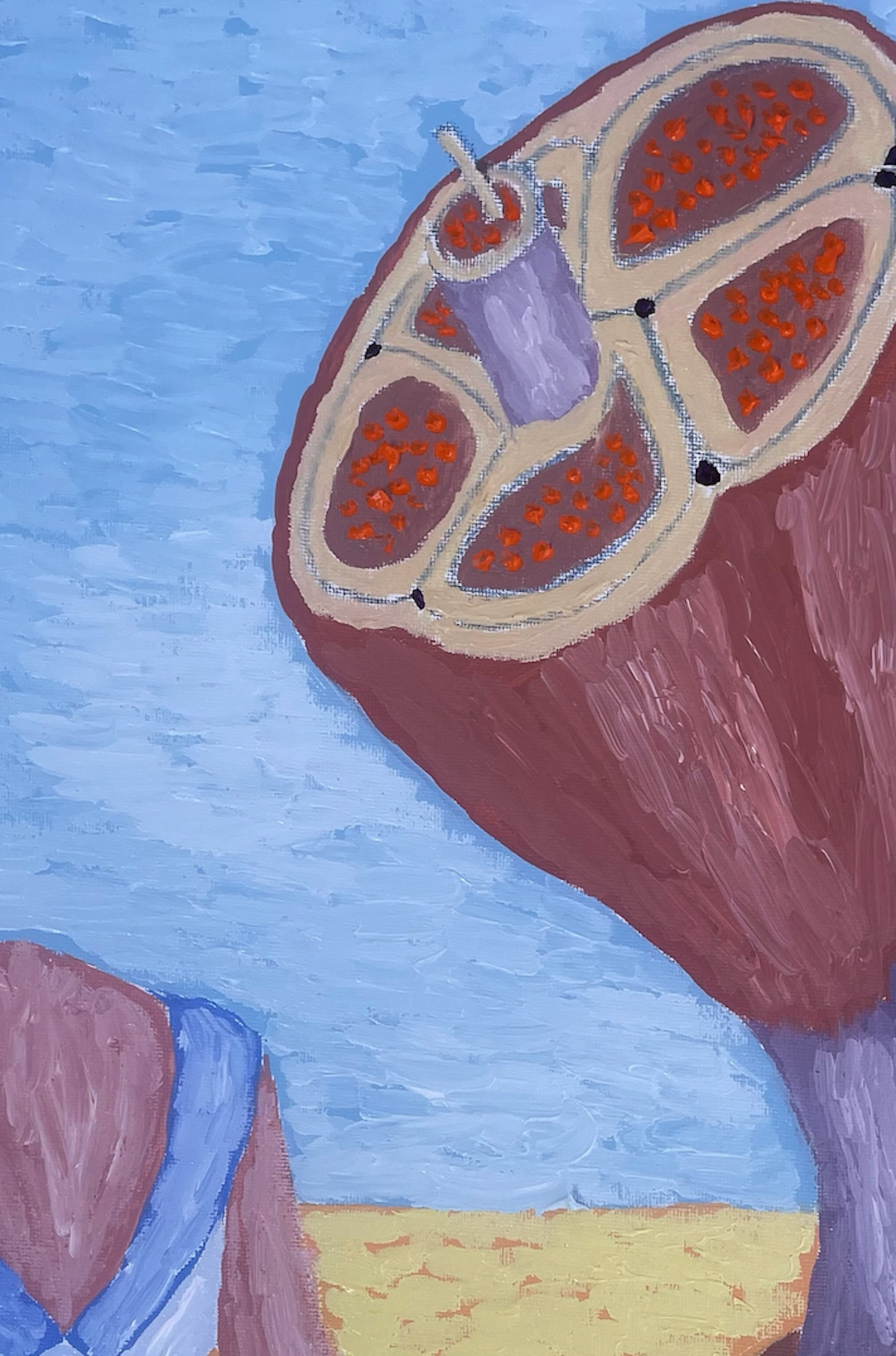 The Ham of my Dermatomyositis
