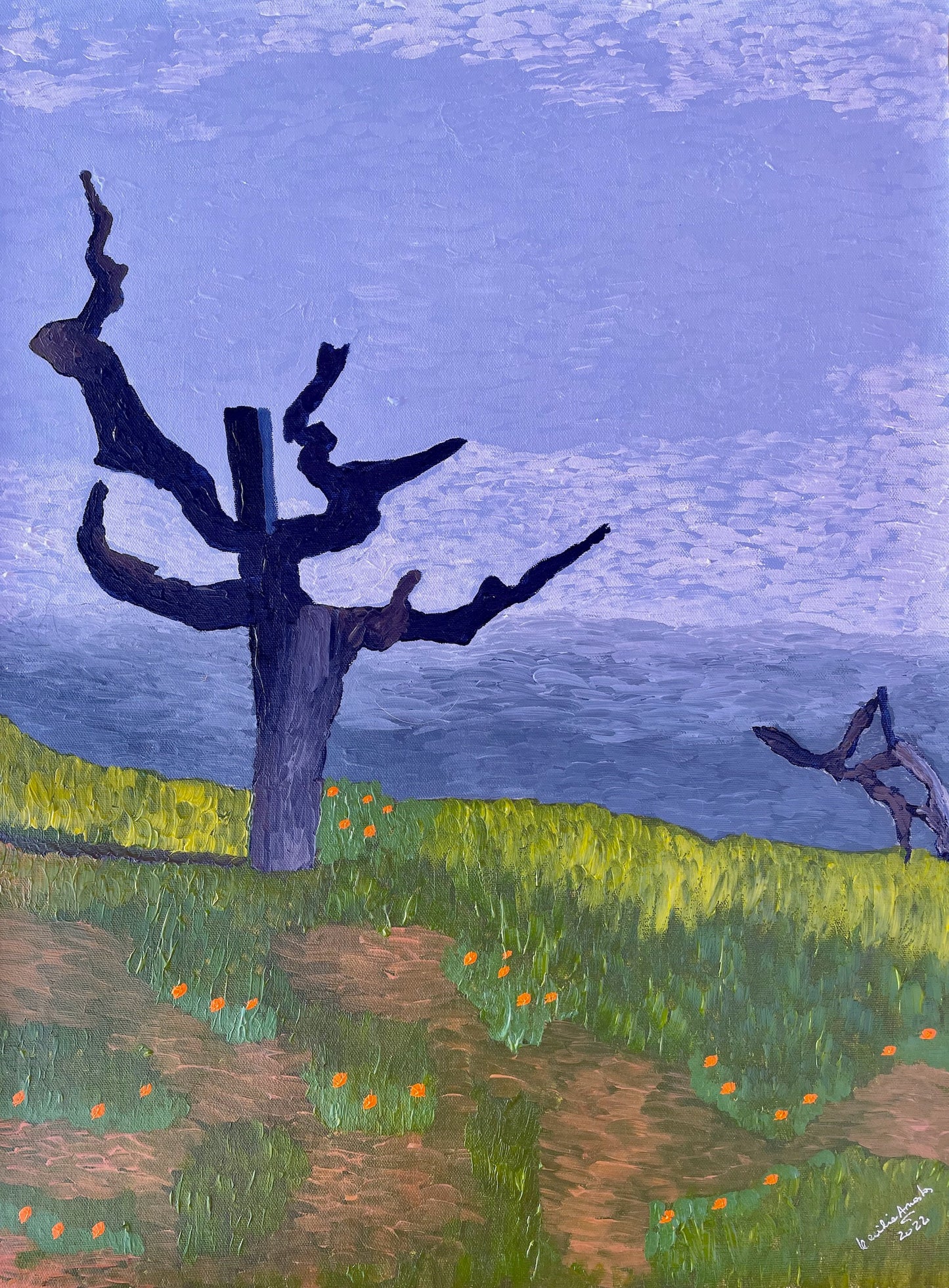 The Knoll at Monte Bello Estate